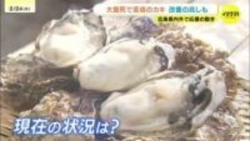 アンガールズも子どもたちも応援！大量死で苦境の「広島カキ」　年明けからは身入りよくなり旬を迎える　改善の兆しも