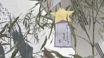 七夕に交通安全教室”横断歩道の渡り方””道路の歩き方”学び短冊に願い事　子供関わる事故、2025年は621件発生