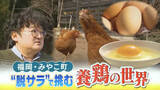 「「ストレスなく元気に育って」広い屋外で放し飼い”放牧養鶏”に脱サラで挑む男性　こだわりのエサ作りも　3月のタマゴ発売を目指す　福岡県みやこ町」の画像1