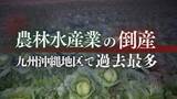 「九州の農林水産業の倒産28件　過去最多に　「円安」「物価高」「人件費の高騰」が食の安全保障、直撃」の画像1