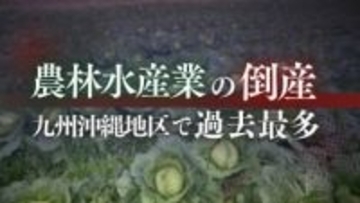 九州の農林水産業の倒産28件　過去最多に　「円安」「物価高」「人件費の高騰」が食の安全保障、直撃