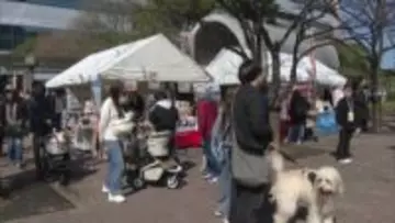 「お洋服買いました！みんなお揃いで」ファッションコンテストやデコカートコンテストも　愛犬と一緒に楽しめるイベント福岡百道浜ドッグフェスタ