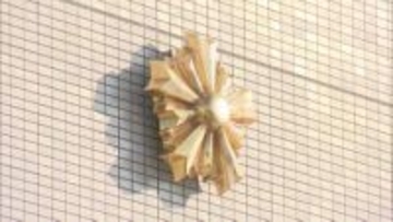 「盗撮に興味があった」久留米市の中学校教諭の26歳男　パチンコ店で女性の下着を撮影したか