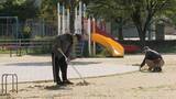 「「いつ誰が倒れるかわからん」子どもたちの遊び場や大人がくつげる場所”地域の公園”が危機　高齢化で見えた実態　福岡県北九州市」の画像1
