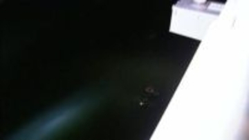 【2025年ニュースPV数6位】「ものすごく恐ろしい決断」「紘彬は死ぬっていうこと」【海の中道大橋 3児死亡飲酒事故】母・大上かおりさん初めての言葉