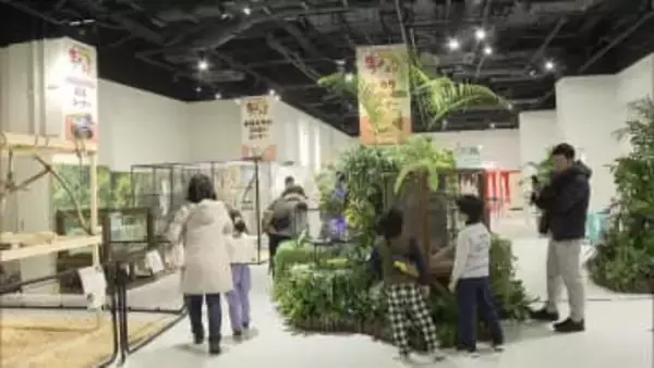 生きものフェスタ