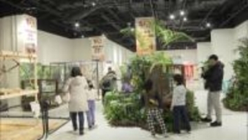 生きものフェスタ