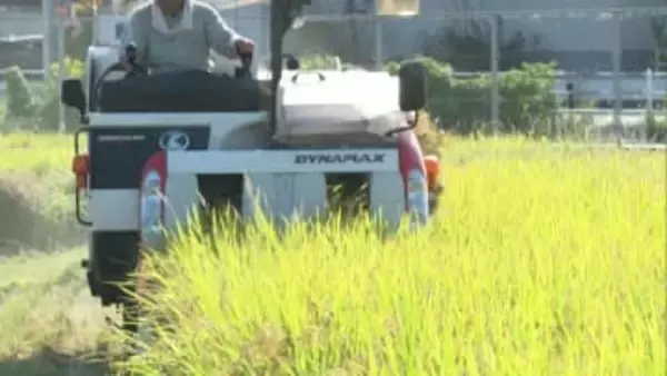 「10年後、農地の4割で後継者がいなくなる」　”九州経済白書”で指摘　人口減少と高齢化で農業の不安定化すすむ