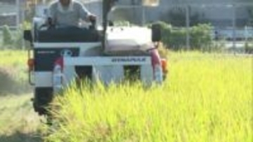 「10年後、農地の4割で後継者がいなくなる」　”九州経済白書”で指摘　人口減少と高齢化で農業の不安定化すすむ