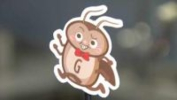 1匹見たら100匹！？ 本格始動前の『今』がゴキブリ対策のラストチャンス！ 古い段ボールは即処分　専門家が伝授する3つのポイント