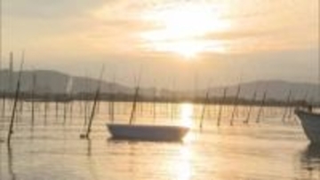 有明海でノリの養殖始まる　海水温の影響で史上最も遅いスタート