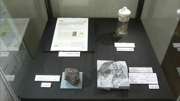 新属新種のクモヒトデ化石発見　特別公開