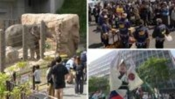 動植物園を無料で開放　名物「バナナのたたき売り」　どんたくパレード・・・みどりの日、福岡県内各地に賑わいと笑顔あふれる