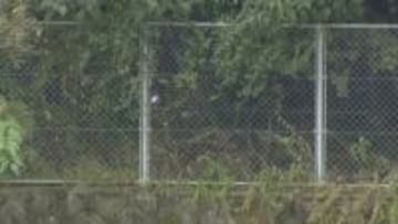 高校で見つかった人骨　83歳女性と判明　敷地に迷い込んだか？　警察が詳しく調べ　福岡