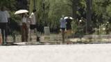 「「各地で真夏日続出」　いよいよ到来”本格的な暑さ”　公園や車中などで暑さの影響は」の画像1