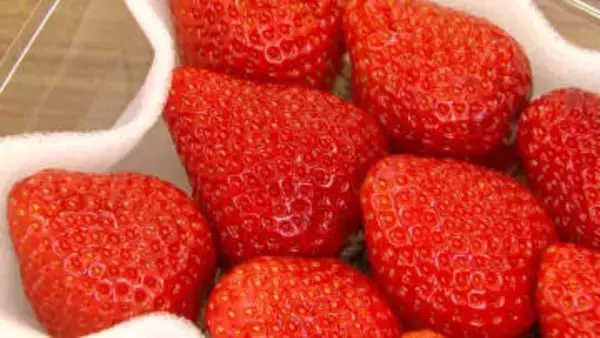 「おいしそう　早く食べたい」給食に採れたての「博多あまおう」大玉届く　地元食材で地元農業に関心を　福岡市