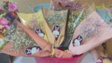 「花言葉は感謝」11月22日はいい夫婦の日　かすみ草の即売会開催　くまモンもイベントをPR