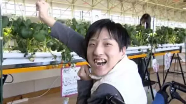 「車いすに座ったままでも農業が可能に」特別支援学校の生徒が”スマート栽培キット”でイチゴを育てて収穫　農業の担い手不足解消への期待も