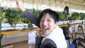 「車いすに座ったままでも農業が可能に」特別支援学校の生徒が”スマート栽培キット”でイチゴを育てて収穫　農業の担い手不足解消への期待も