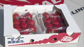 博多あまおうの空輸始まる　翌日首都圏の店頭で販売　来年5月までに全国に出荷する予定