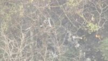 八女の小型機墜落事故　亡くなった3人の身元が判明