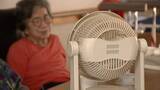 「”避難所より猛暑の木陰”エアコンなしの避難生活　停電の老人ホームでは「ナースコールも作動しない」　被災者をうちのめす真夏の災害、もう1週間」の画像1
