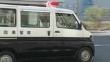 「他人の畑からそら豆12さや（500円相当）を盗んだか　71歳無職の男、自分を指さし「そら豆は自分のもの」と容疑を否認」の画像1