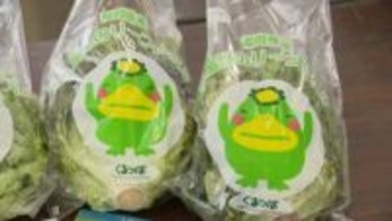 特産サニーレタス100玉を無料で配布　3月2日は「サニーレタス」の日　福岡県久留米市