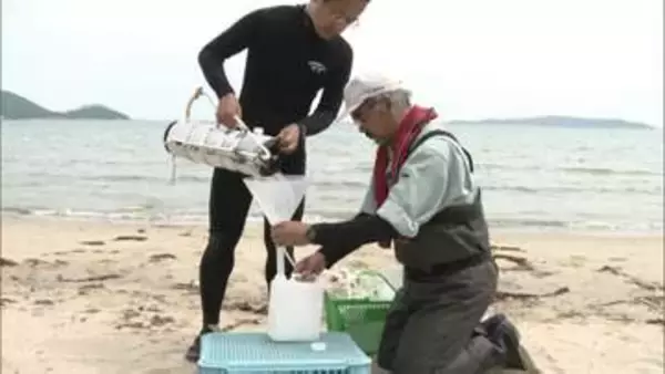 「水質検査をしっかりやってますので、安心して楽しんで」海開き前に海水浴場の水質調査　水質は6月中旬ごろに公表　福岡市