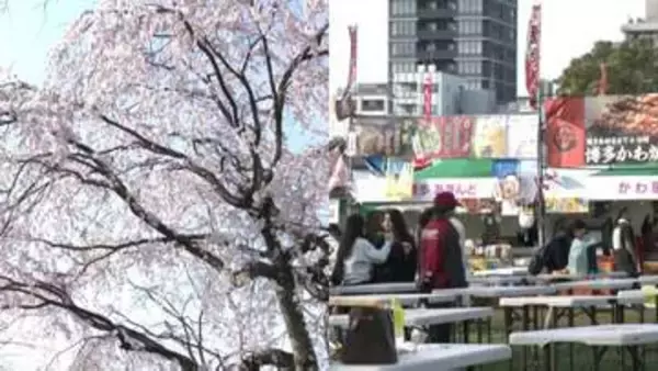 「車は使わない」「仕入れも上がった」さくらまつりの宴の裏で・・・花見客や露店が漏らした「物価高」への切実な本音　福岡