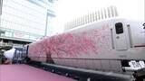 「「新幹線がまさか・・・」熊本地震で被災し車両所で眠り続けた「つばめ」　10年ぶりにお披露目　船と陸路550キロを旅して博多駅前に」の画像1