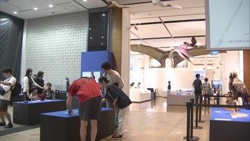「とぶ　空飛ぶ生きものたちの大冒険」開催　全長10ｍの翼竜や世界の鳥など300種類　北九州市・いのちのたび博物館