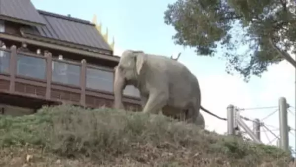 福岡市動植物園は新春恒例の「お年玉イベント」縁起物の金鯱サボテンをプレゼント　日中は厳しい寒さに