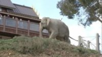 福岡市動植物園は新春恒例の「お年玉イベント」縁起物の金鯱サボテンをプレゼント　日中は厳しい寒さに