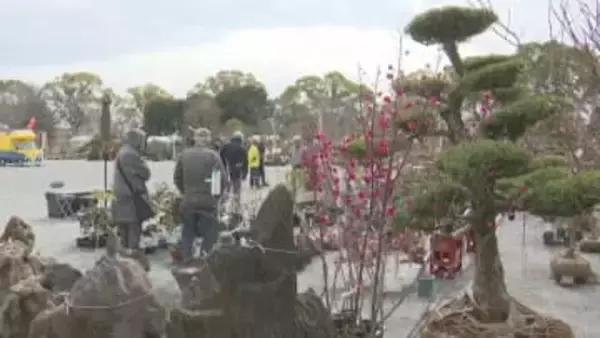 「花の種類が多い」「年1回の私の楽しみ」　”植木まつり”開催　ウメ・サクラなど約1000種類10万本を展示販売　福岡県久留米市