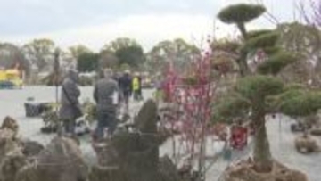 「花の種類が多い」「年1回の私の楽しみ」　”植木まつり”開催　ウメ・サクラなど約1000種類10万本を展示販売　福岡県久留米市