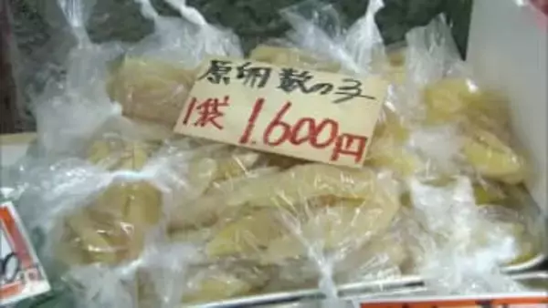 「去年より高くなった感じ」迎春準備で市場にぎわう　縁起物のブリは去年より２～３割高　”博多の台所”福岡市・柳橋連合市場