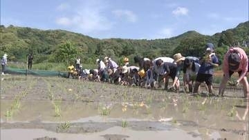 小学生が田植え体験　おととしはスズメの食害去年は大雨・・・今年こそは豊作願って　福岡