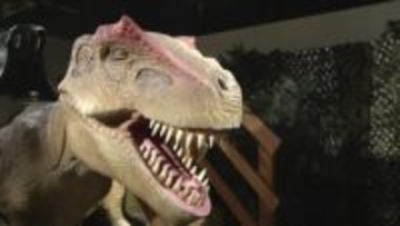 恐竜時代にタイムスリップ！？「ダイナソーパーク」始まる　化石発掘体験も