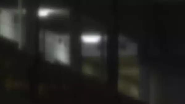 「スパーリングをしていて倒れた」マンションの一室で死亡したのは22歳の男子大学生と判明