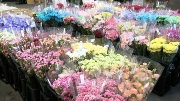 もうすぐ「母の日」　九大の学生が伝える「お母さんへの感謝の言葉」　今年の贈り物は？　物価高の影響はカーネーションにも・・・