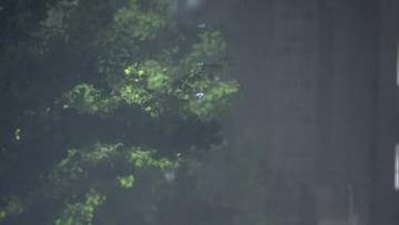 福岡・佐賀　６日昼前にかけて大雨のおそれ　土砂災害などに警戒を