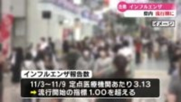 高知県内 インフルエンザの流行期に入る こまめな手洗いやうがい、人ごみを避けるなど注意呼びかけ【高知】
