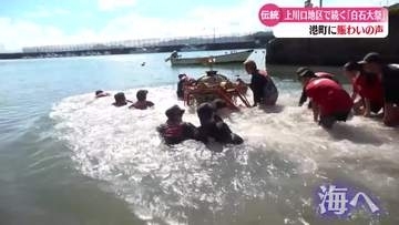 《神輿担ぎ海へ飛び込む》黒潮町の伝統行事 白石大祭にぎわう【高知】