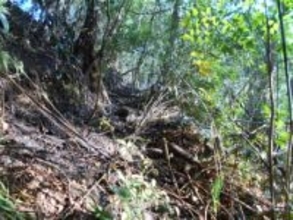 高知県内で山林火災相次ぐ【高知】