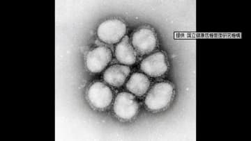 3週連続で警報の基準値超える 高知県内全体にインフルエンザ警報発表中【高知】