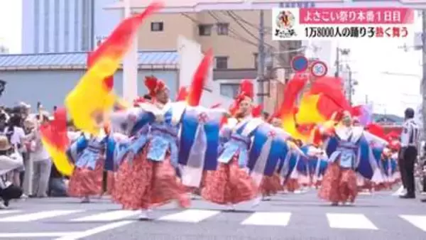 《1万8000人が演舞》第73回よさこい祭り 本番1日目！ チーム編【高知】