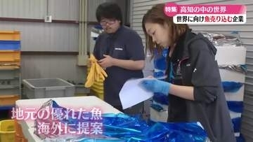 《地元の漁業を守る》宿毛市の水産会社の取り組み【高知】