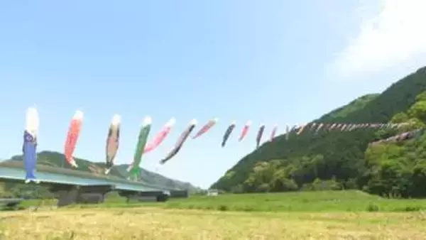 《子供たちの健康を願って200匹が青空泳ぐ》宿毛市で今年もこいのぼりの川渡し【高知】