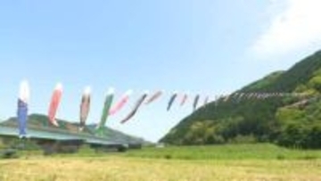 《子供たちの健康を願って200匹が青空泳ぐ》宿毛市で今年もこいのぼりの川渡し【高知】